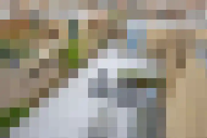 Gravenmade 10 Pijnacker thumbnail 39