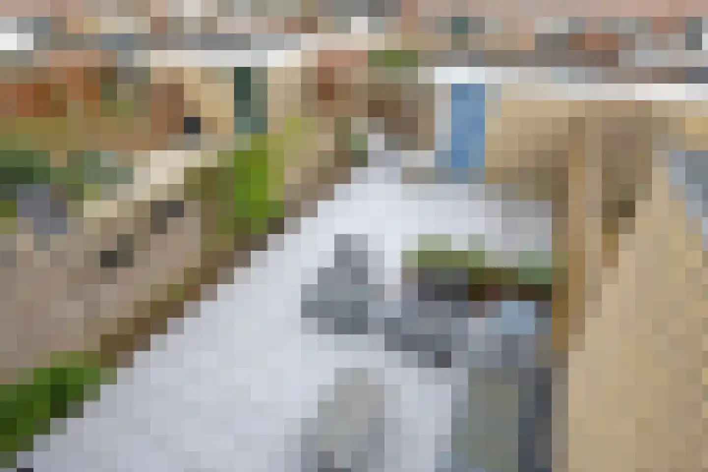 Gravenmade 10 Pijnacker thumbnail 39