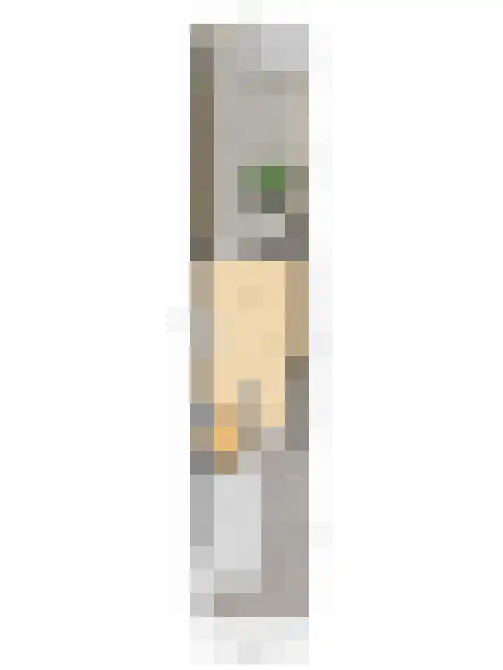 Gravenmade 10 Pijnacker thumbnail 40