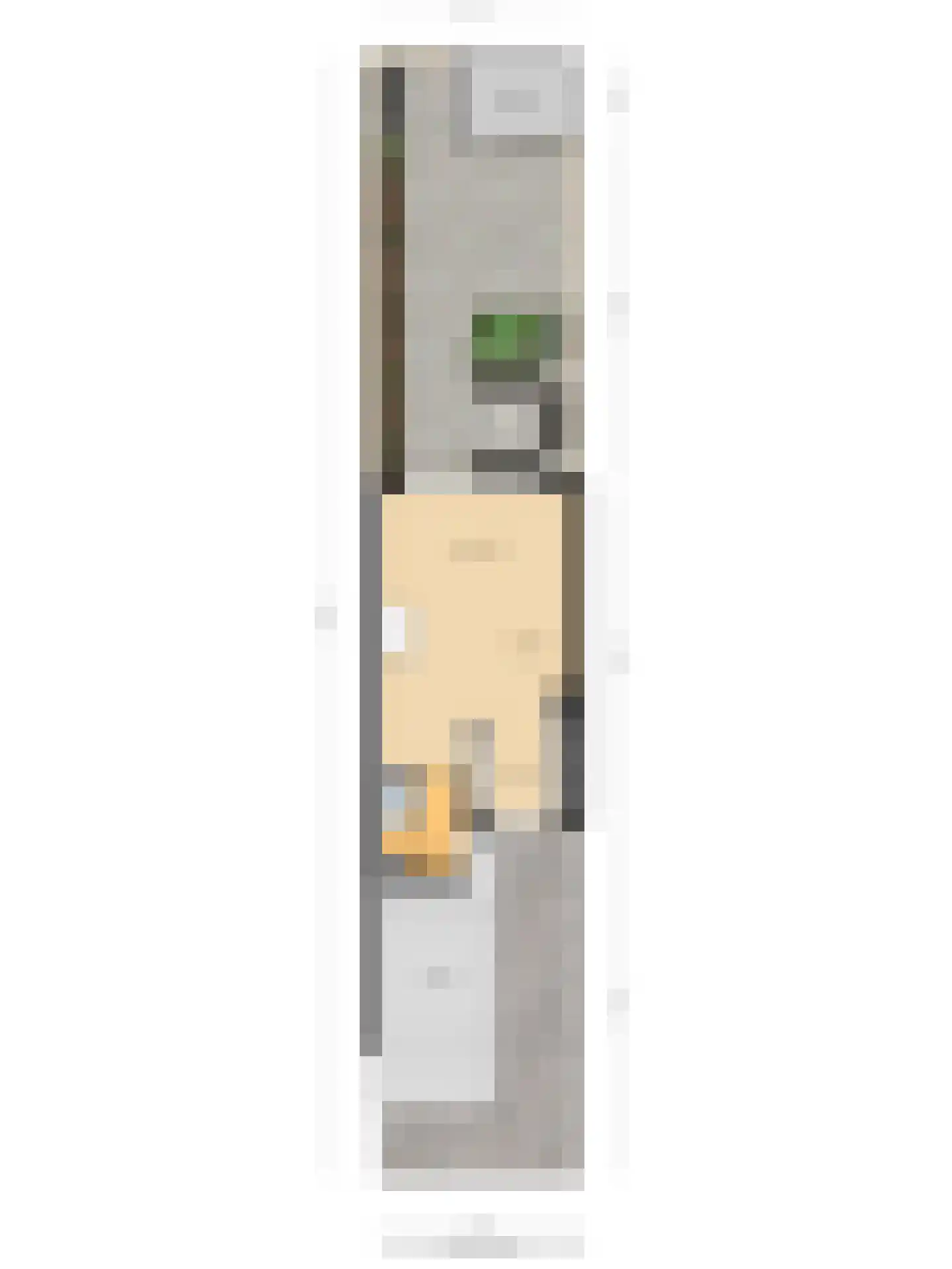 Gravenmade 10 Pijnacker thumbnail 40