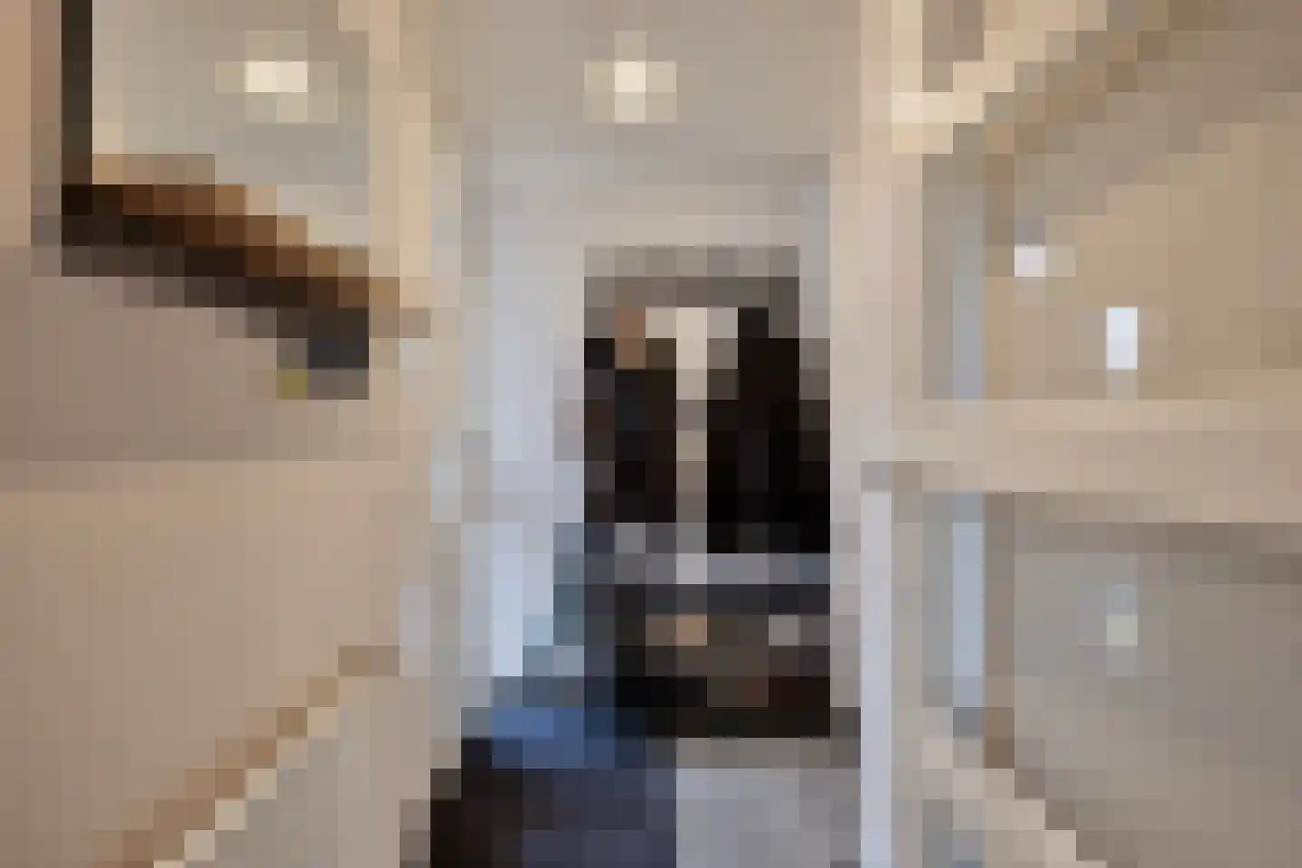 Gravenmade 10 Pijnacker thumbnail 9