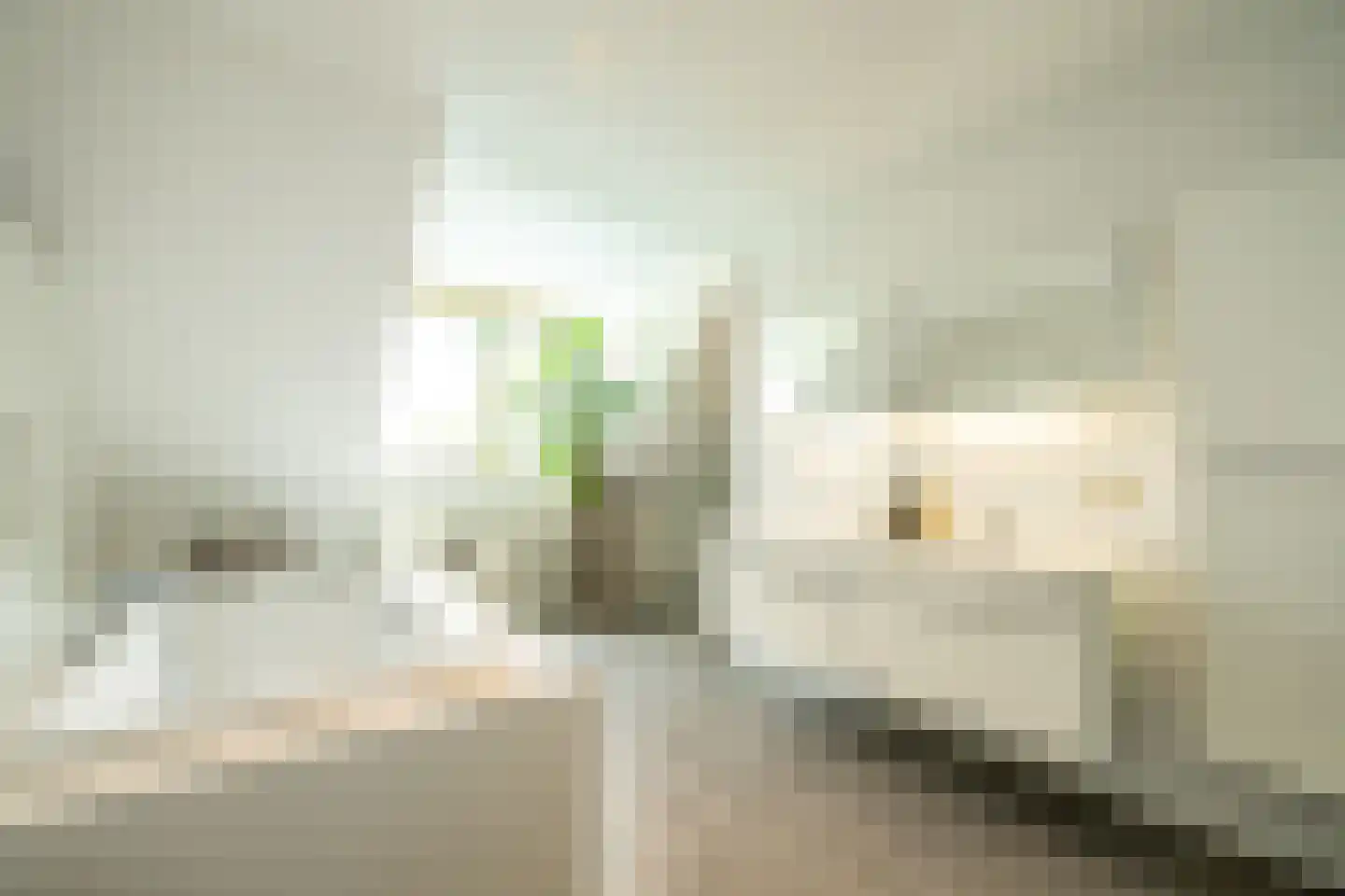 Gravenstate 8 Heythuysen thumbnail 37
