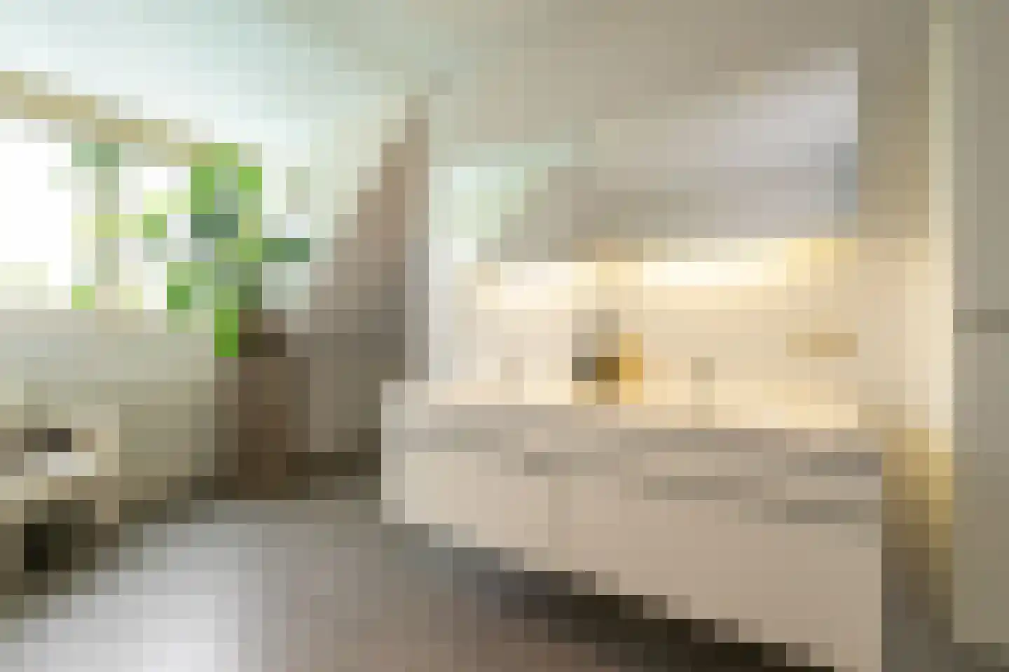 Gravenstate 8 Heythuysen thumbnail 39