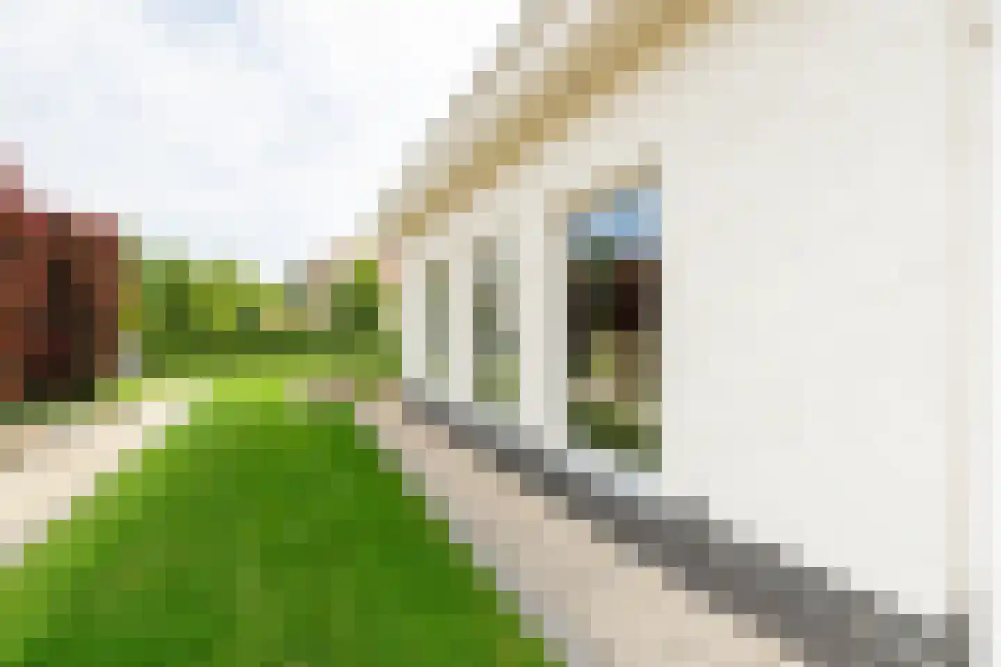 Gravenstate 8 Heythuysen thumbnail 50