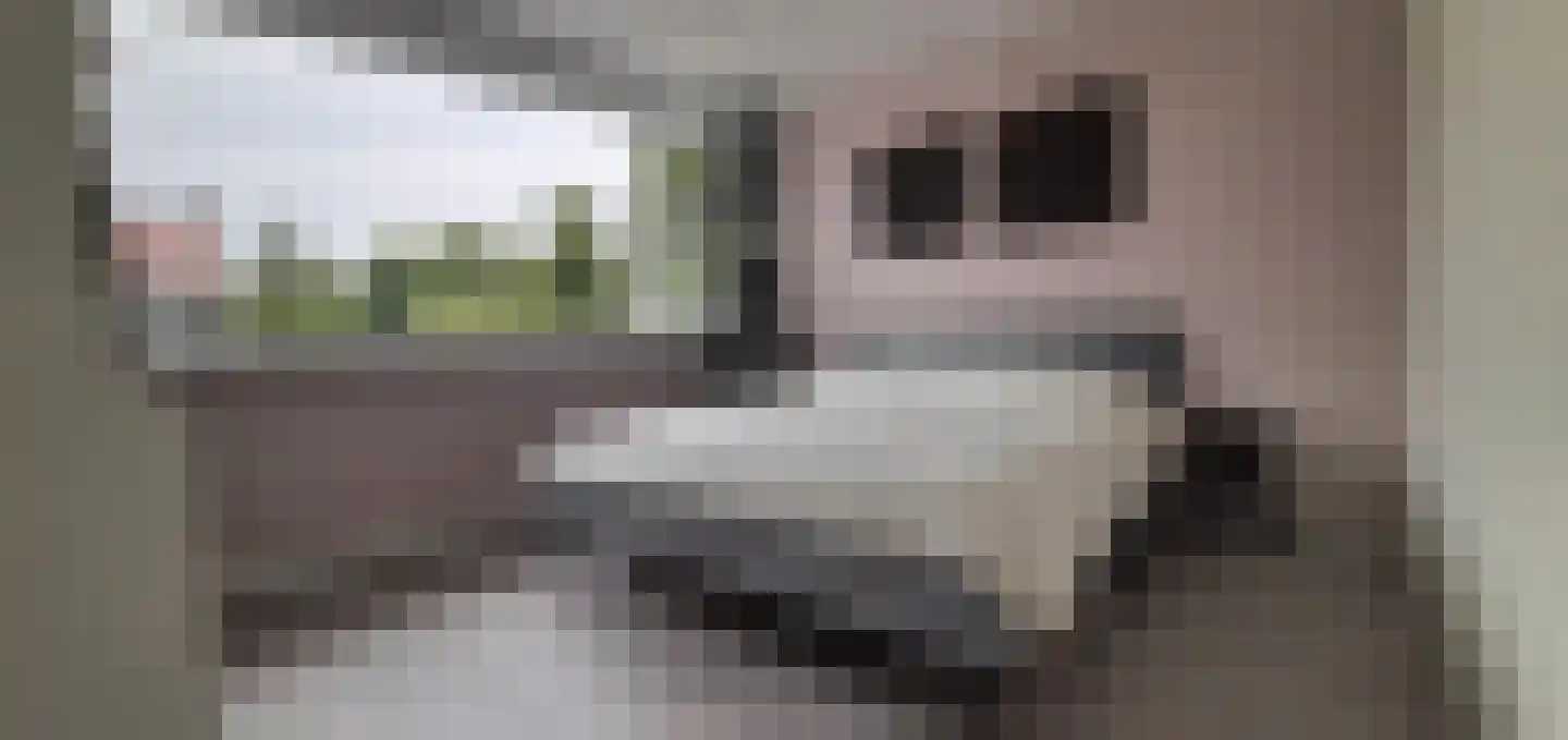 Gravenstein 14 Bodegraven thumbnail 15