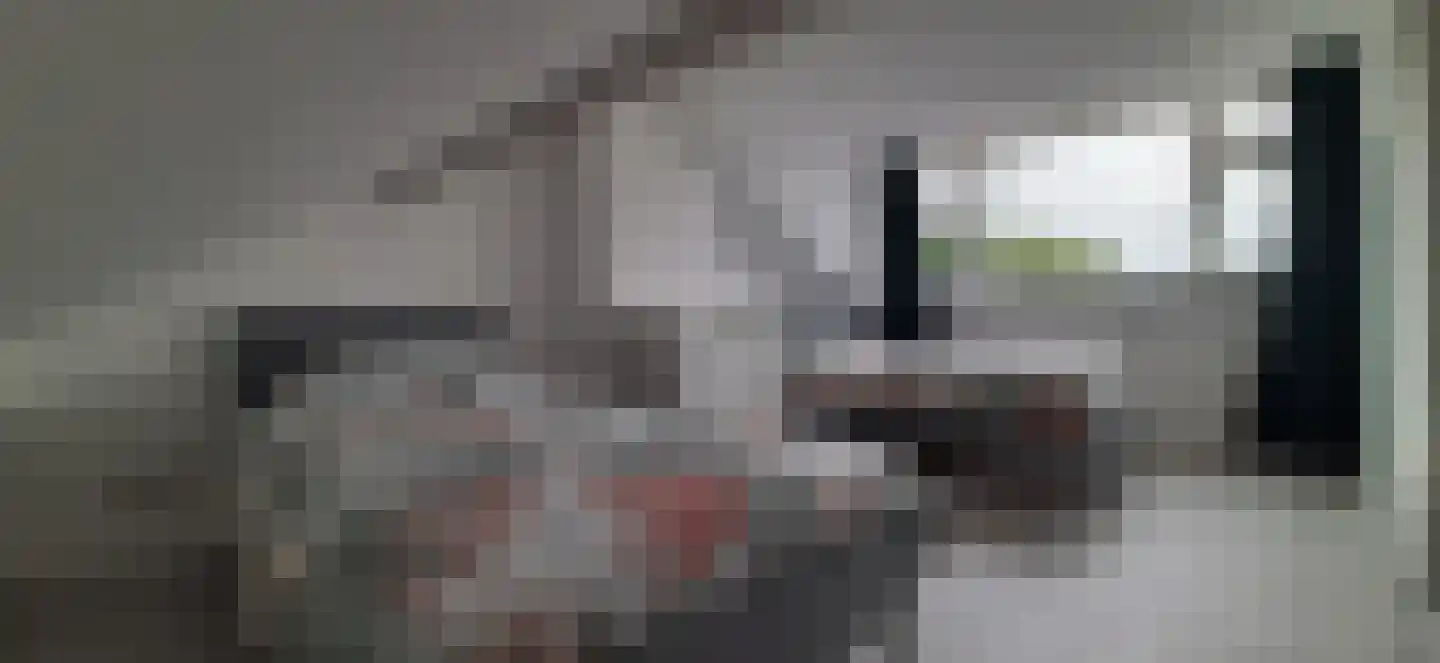 Gravenstein 14 Bodegraven thumbnail 19