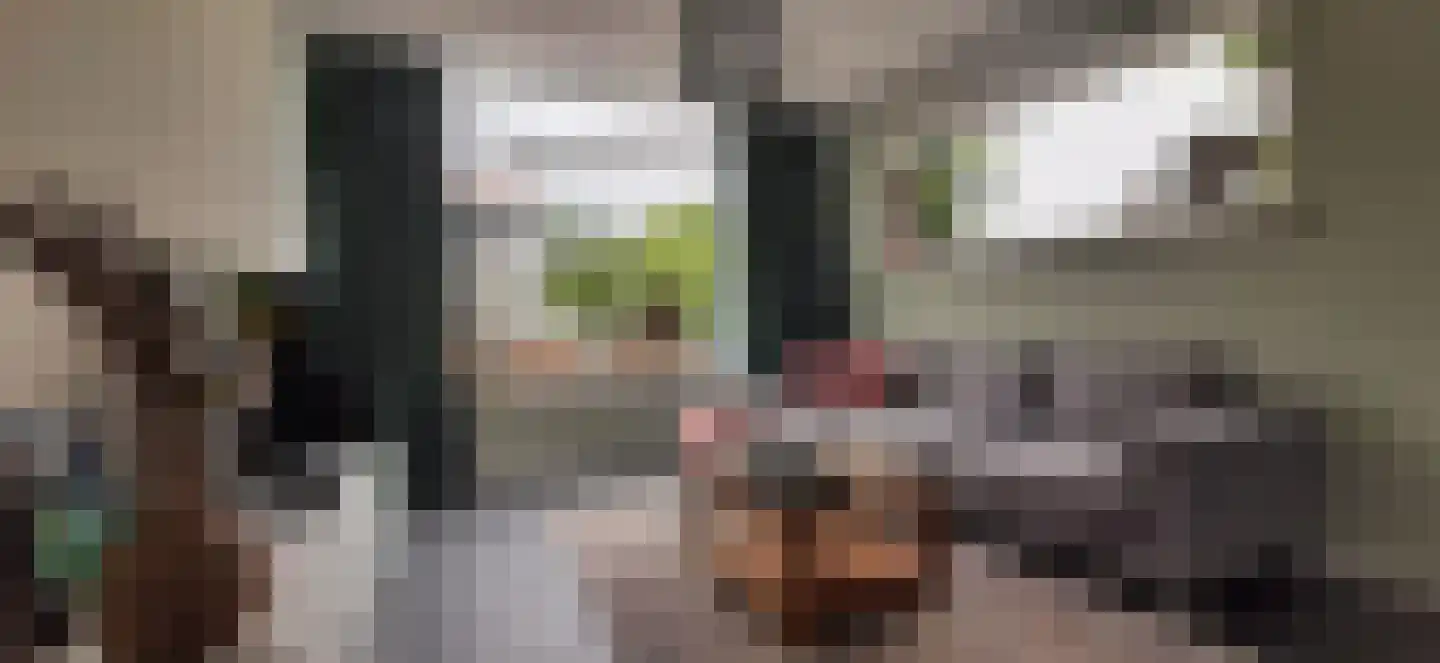 Gravenstein 14 Bodegraven thumbnail 8