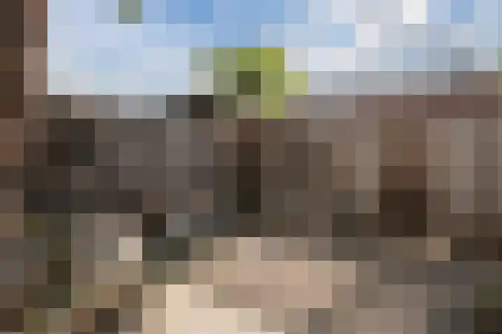 Gravenstein 29 Bodegraven thumbnail 38