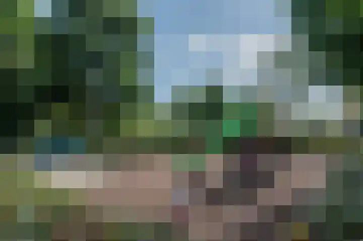 Gravenstein 29 Bodegraven thumbnail 41