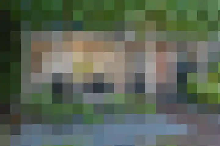 Gravenstein 29 Bodegraven thumbnail 7