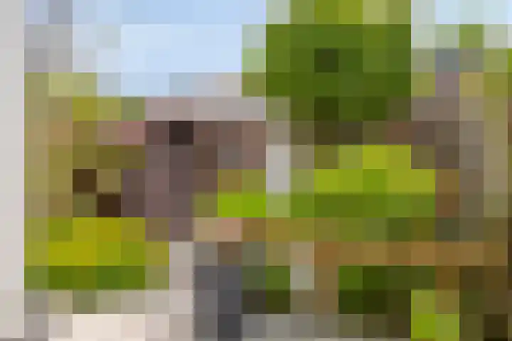 Gravenstein 44 Bodegraven thumbnail 18