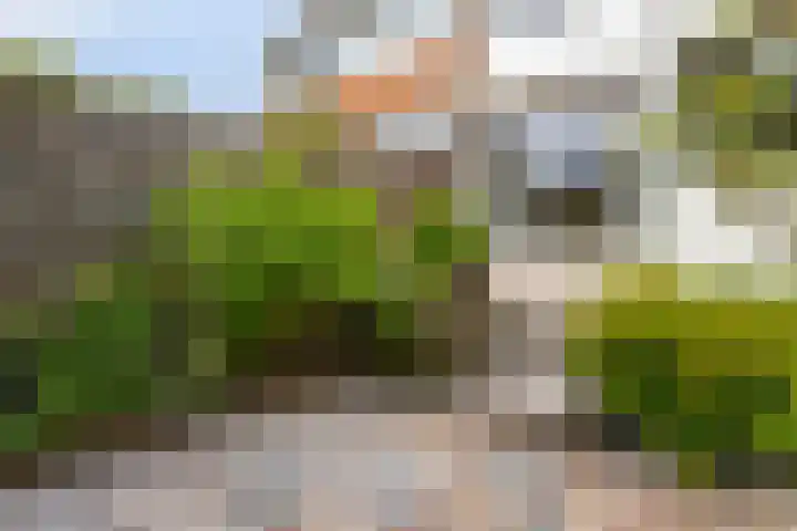 Gravenstein 44 Bodegraven thumbnail 23