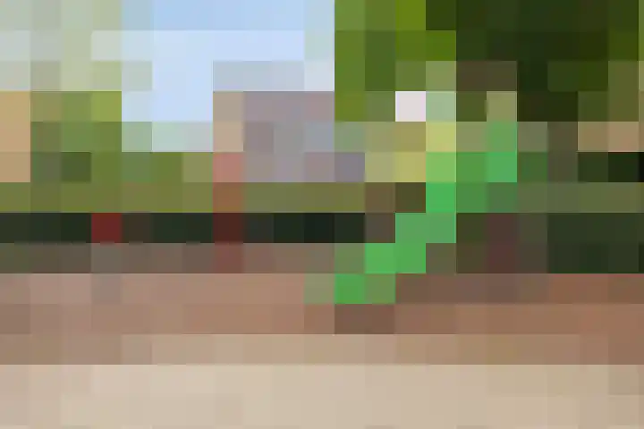 Gravenstein 44 Bodegraven thumbnail 38