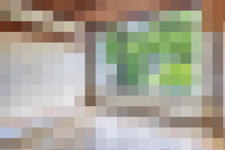 Gravenstein 44 Bodegraven thumbnail 5