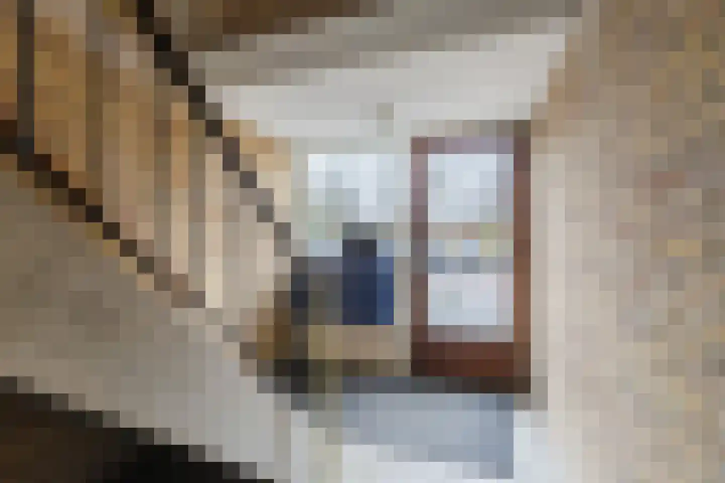 Gravenstein 64 Bodegraven thumbnail 8