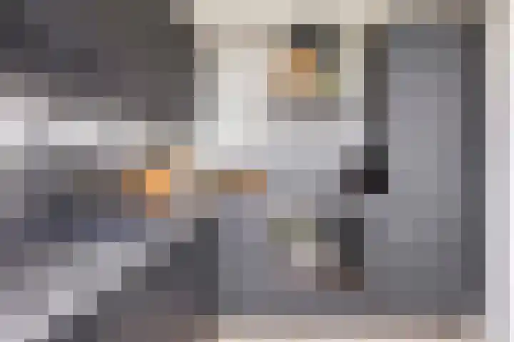 Gravenstein 76 Bodegraven thumbnail 10