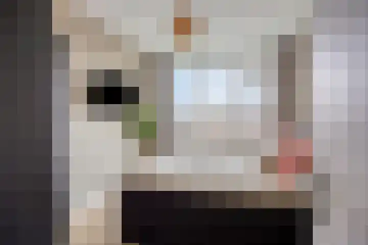 Gravenstein 76 Bodegraven thumbnail 11