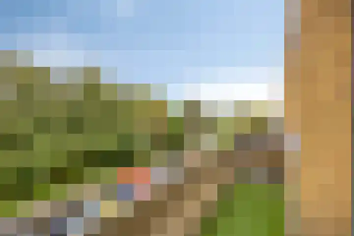 Gravenstein 76 Bodegraven thumbnail 17