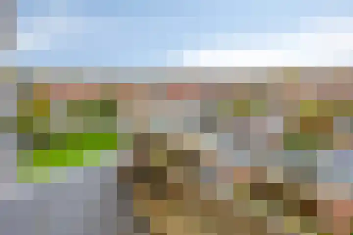 Gravenstein 76 Bodegraven thumbnail 19