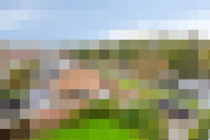 Gravenstein 76 Bodegraven thumbnail 20