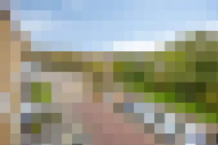 Gravenstein 76 Bodegraven thumbnail 21