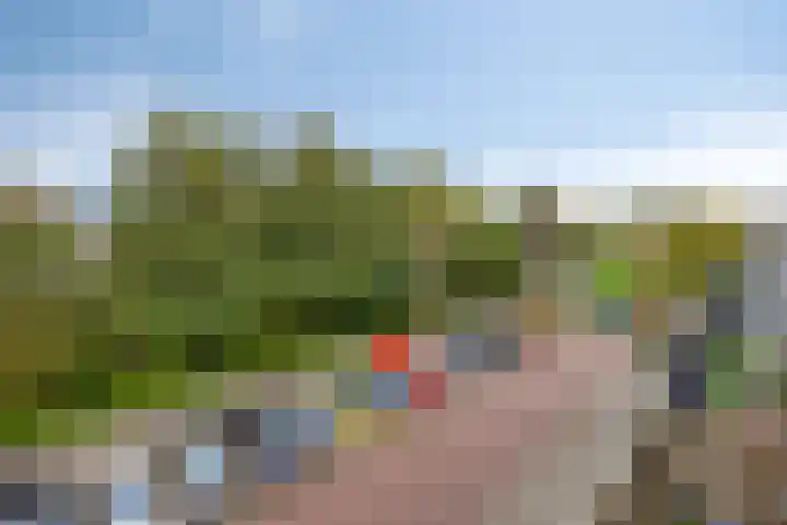Gravenstein 76 Bodegraven thumbnail 22