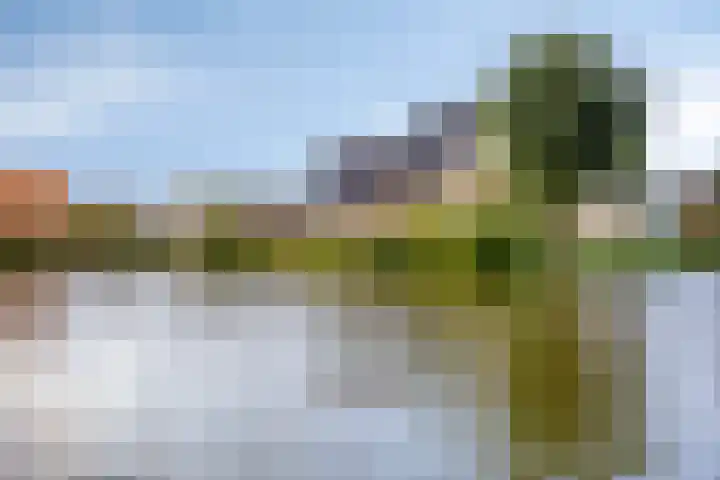 Gravenstein 76 Bodegraven thumbnail 30