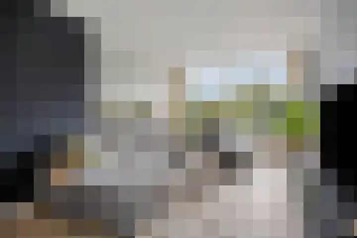 Gravenstein 76 Bodegraven thumbnail 5