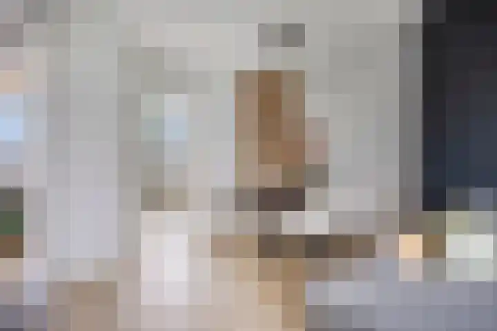 Gravenstein 76 Bodegraven thumbnail 6