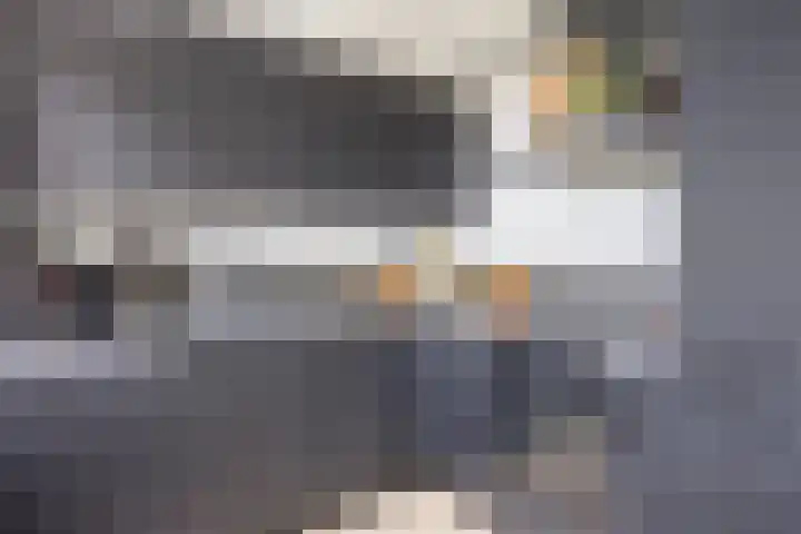 Gravenstein 76 Bodegraven thumbnail 9