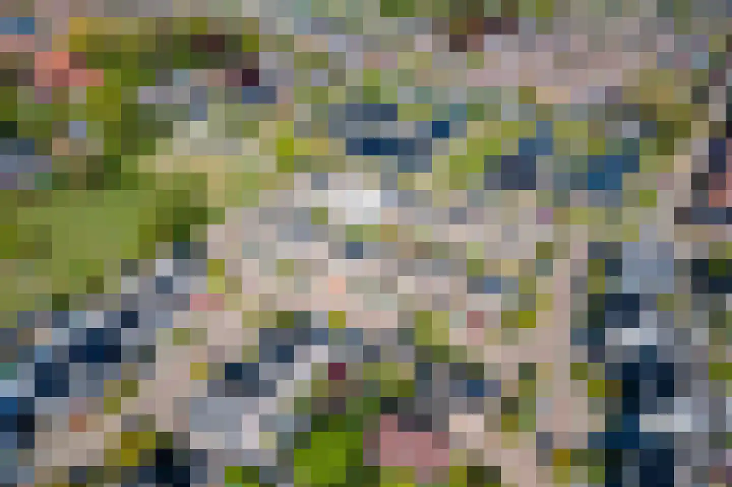 Gravensteinerhof 10 Maurik thumbnail 48