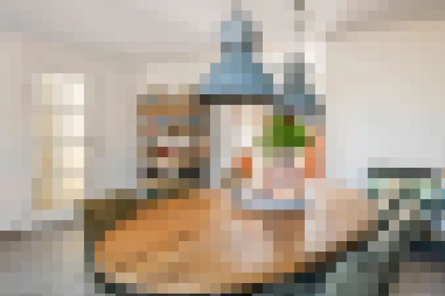 Gravensteinerhof 10 Maurik thumbnail 8