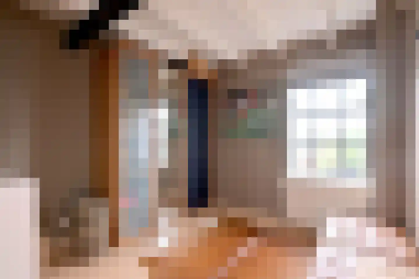 Gravenstraat 1 A Brummen thumbnail 22