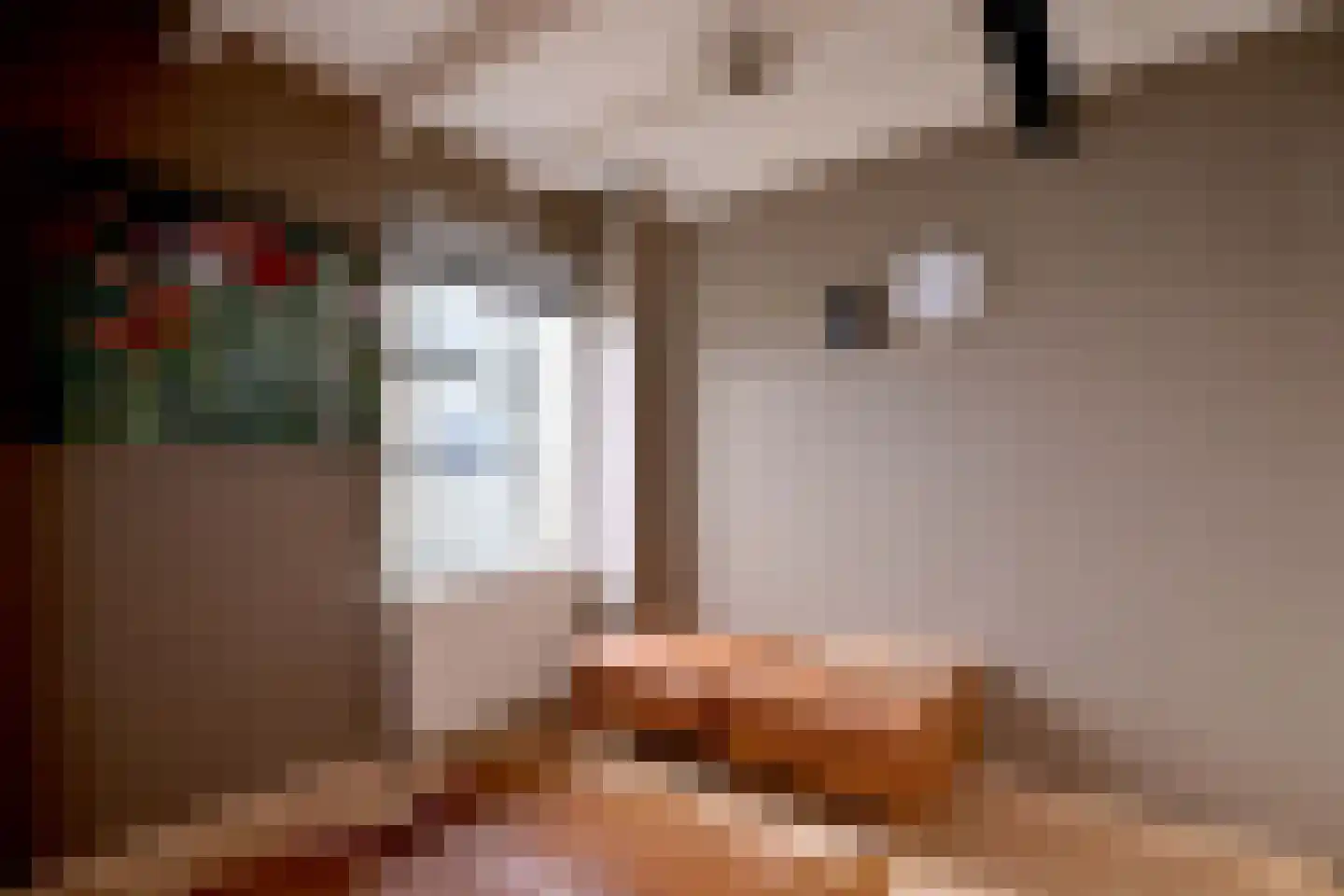 Gravenstraat 1 A Brummen thumbnail 23