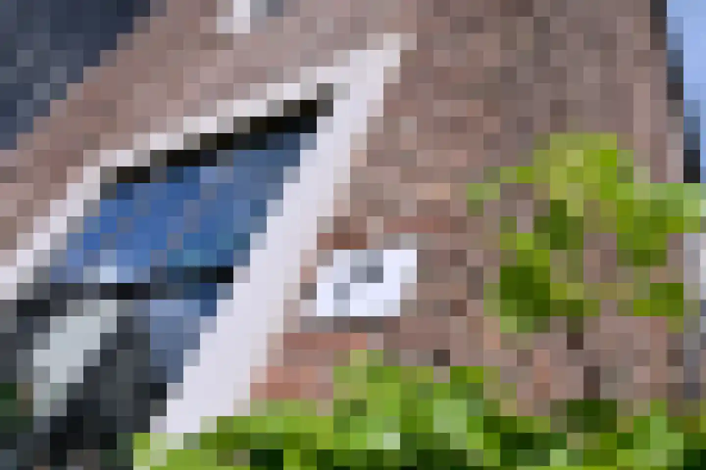 Gravenstraat 1 A Brummen thumbnail 40