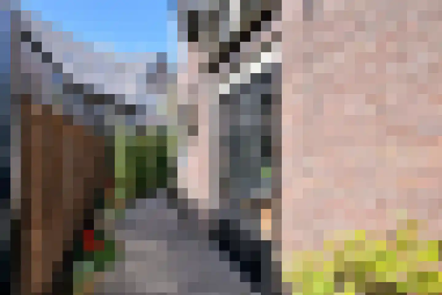 Gravenstraat 1 A Brummen thumbnail 41