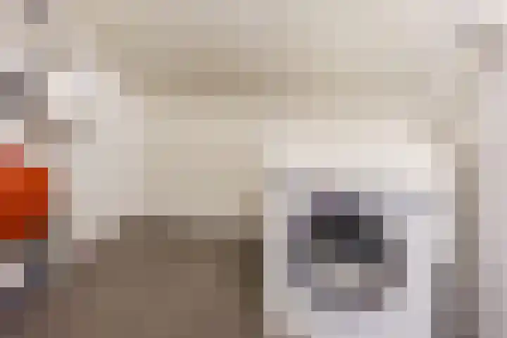 Gravenstraat 24 Helmond thumbnail 33