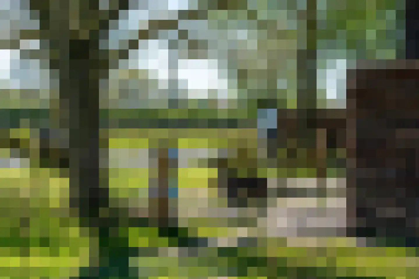 Gravenstraat 27 Voorst thumbnail 12