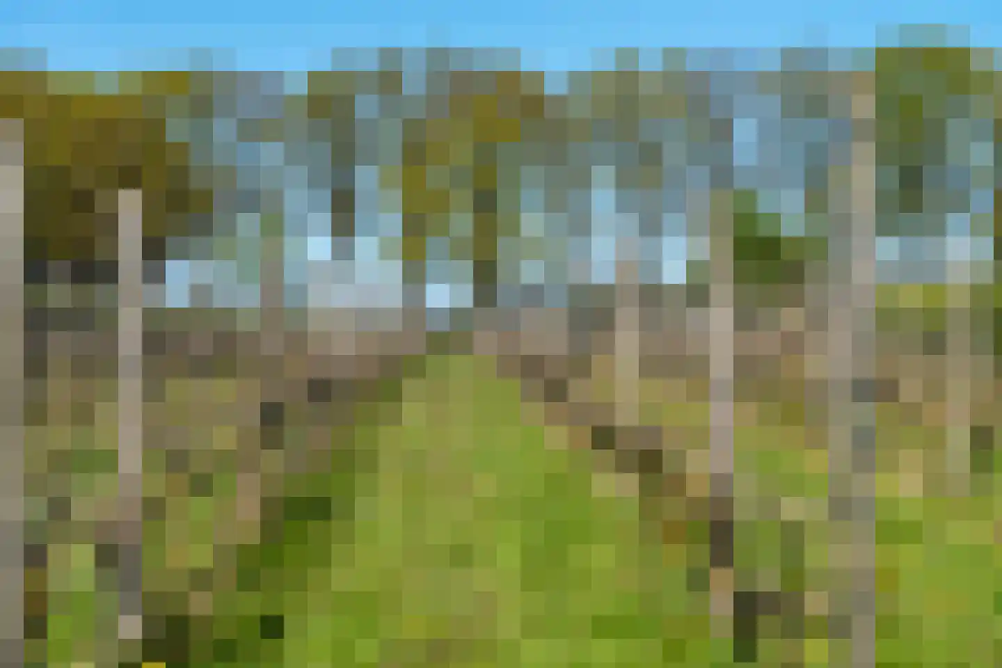 Gravenstraat 27 Voorst thumbnail 35
