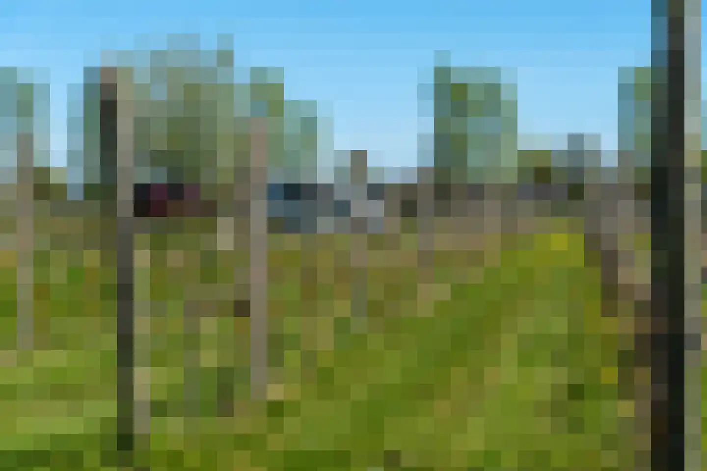 Gravenstraat 27 Voorst thumbnail 8