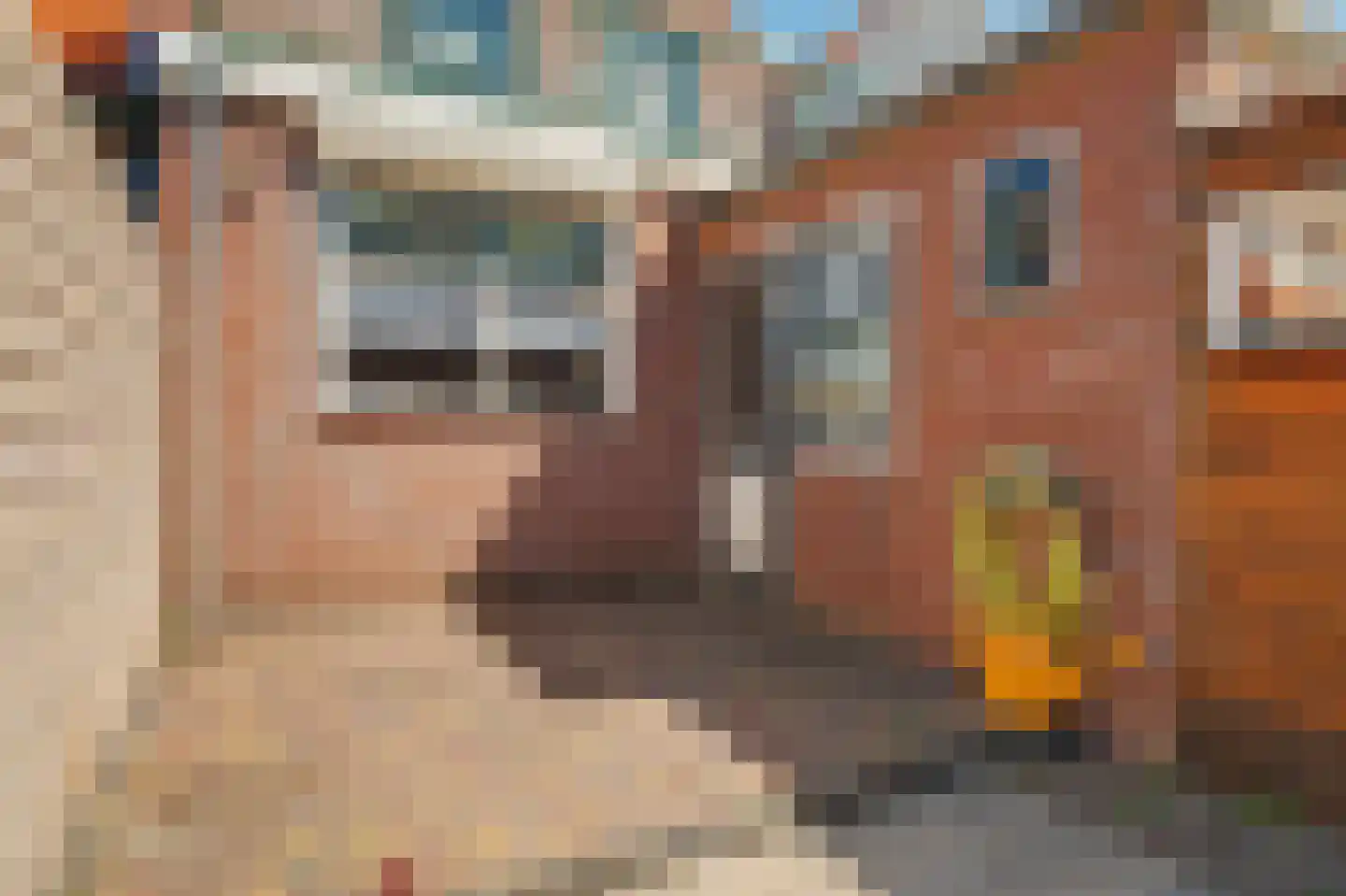 Gravenstraat 31 Zierikzee thumbnail 18