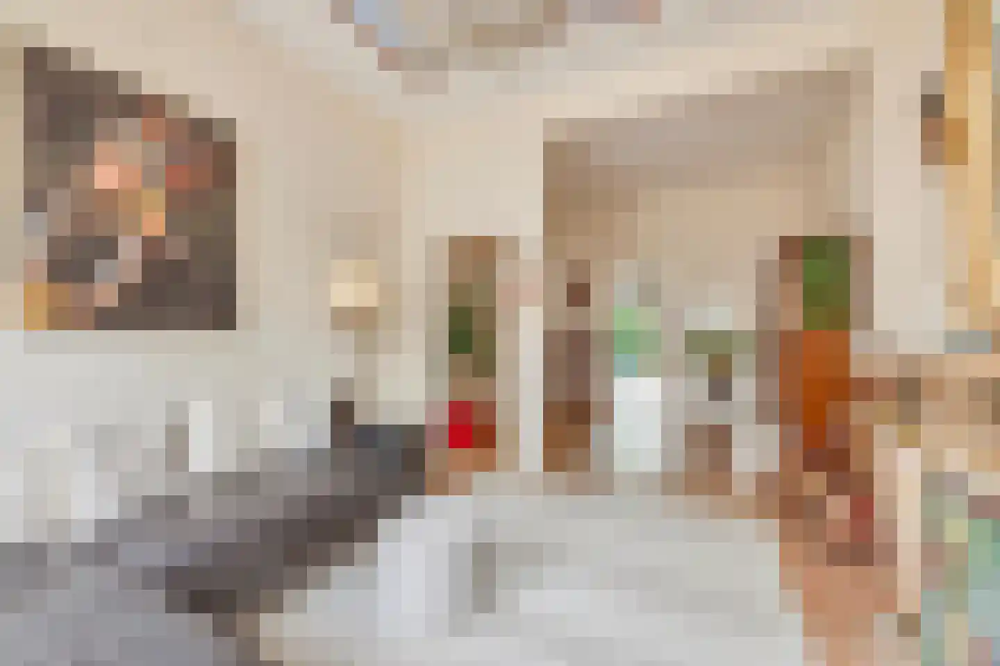 Gravenstraat 34 Arnhem thumbnail 11