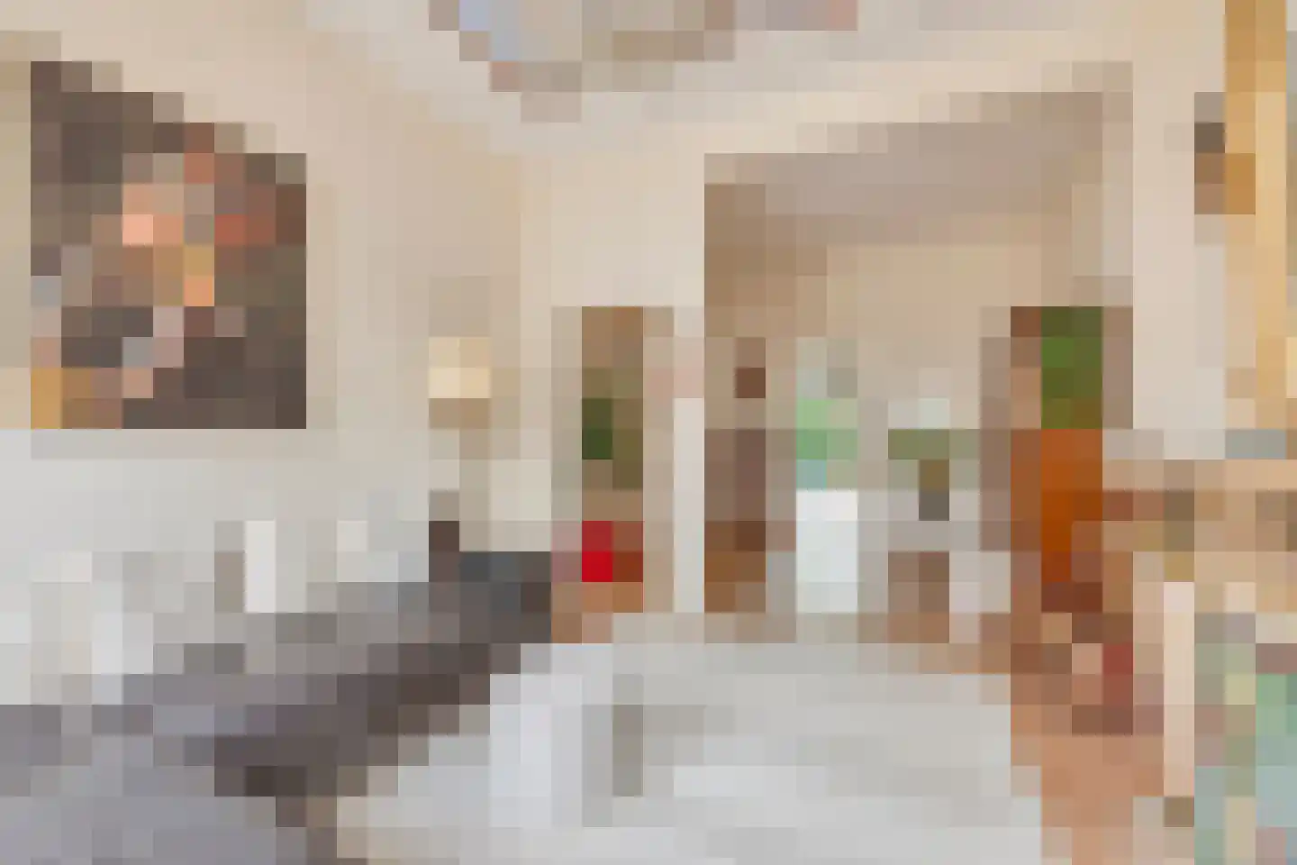 Gravenstraat 34 Arnhem thumbnail 17