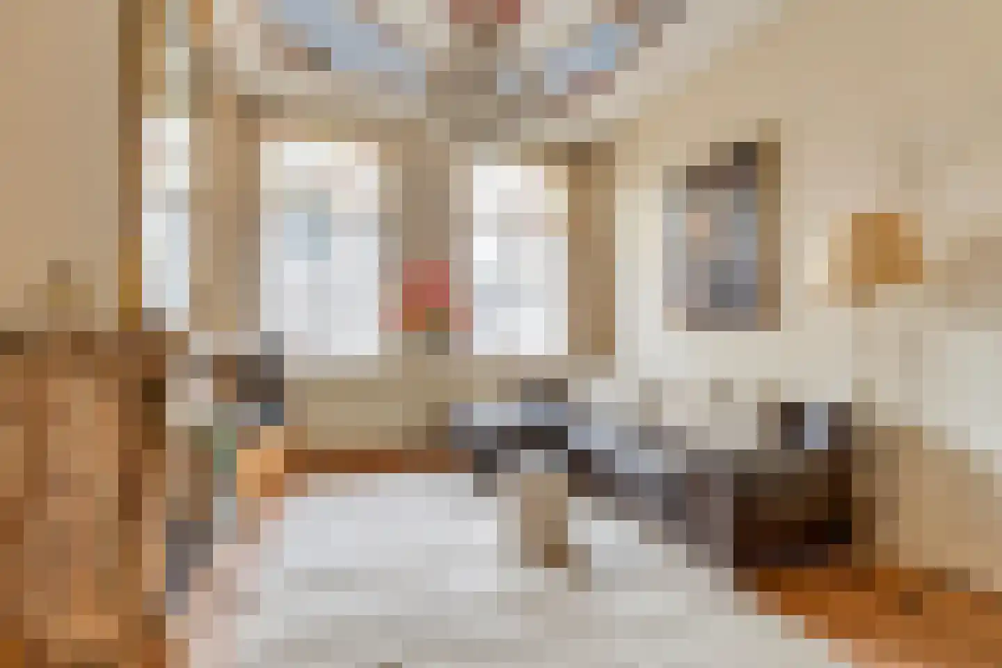 Gravenstraat 34 Arnhem thumbnail 6