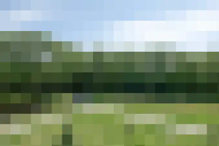 Gravenstraat 37 Alphen aan den Rijn thumbnail 4