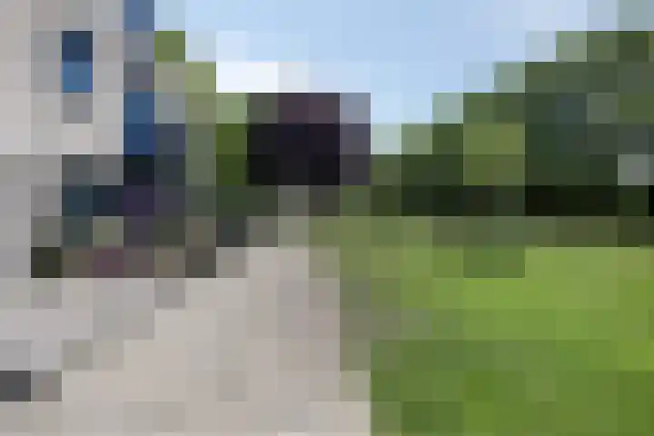 Gravenstraat 37 Alphen aan den Rijn thumbnail 5
