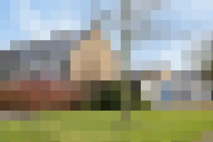 Gravenstraat 4 Geldrop thumbnail 10