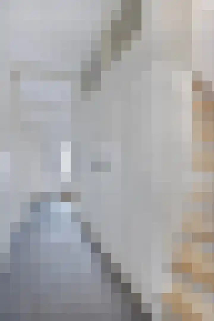 Gravenstraat 4 Geldrop thumbnail 12