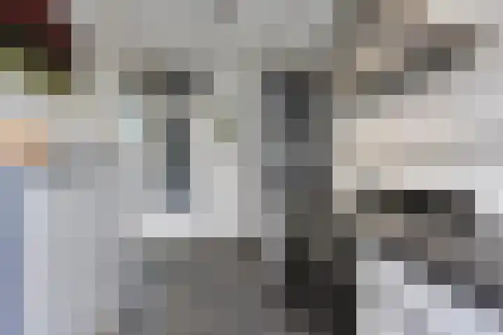 Gravenstraat 4 Geldrop thumbnail 18