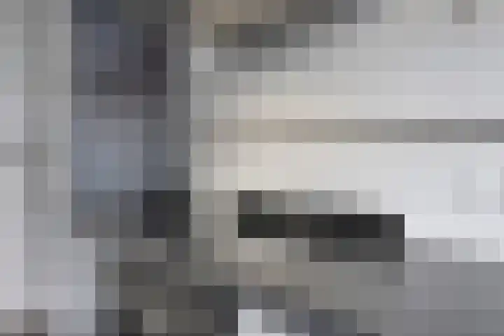 Gravenstraat 4 Geldrop thumbnail 19